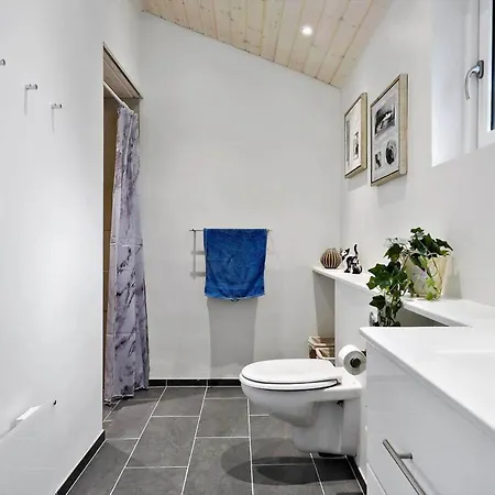 Prázdninový dům Lk741-lokken-madsinesvej-1 *
